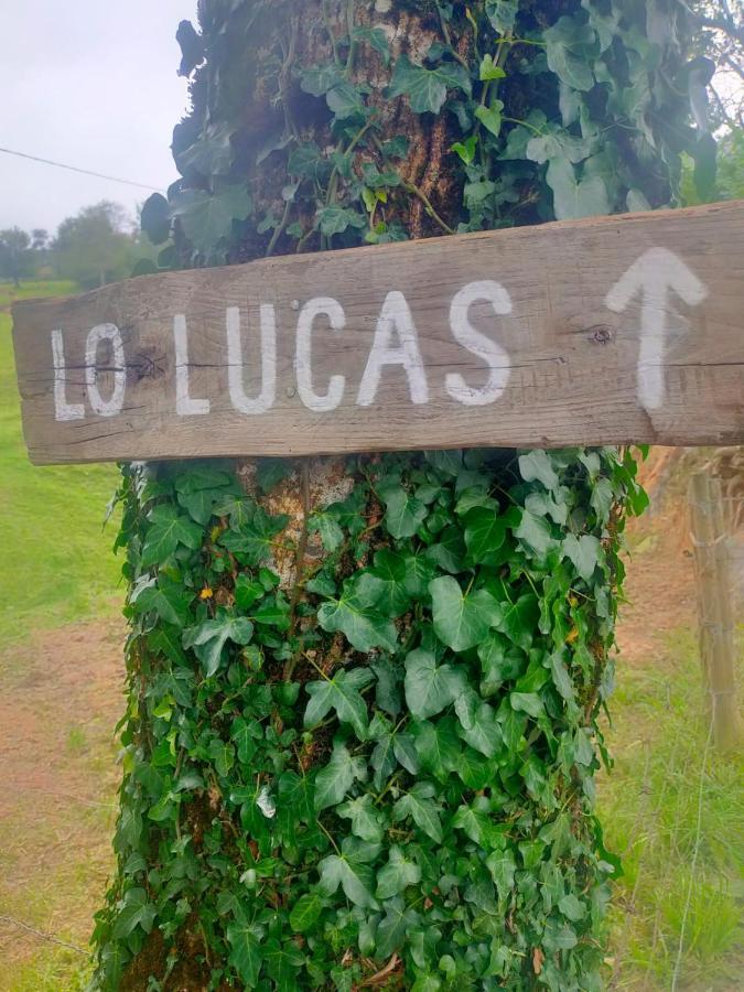 Vivienda Pasiega Lo Lucas 1920 San Roque de Ríomiera Dış mekan fotoğraf